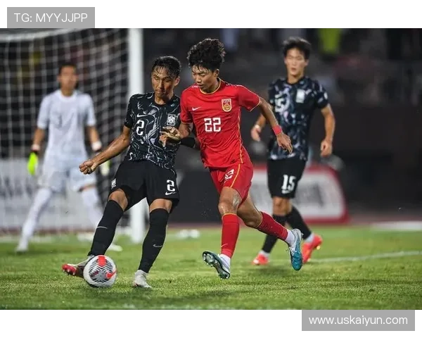 全面解析ng体育下载官网的功能与优势